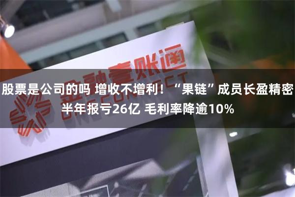 股票是公司的吗 增收不增利！“果链”成员长盈精密半年报亏26亿 毛利率降逾10%