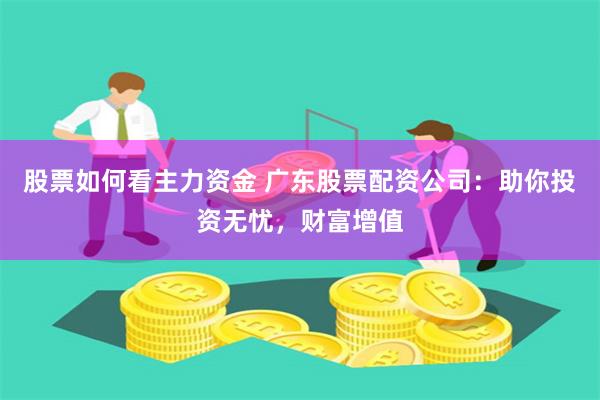 股票如何看主力资金 广东股票配资公司：助你投资无忧，财富增值