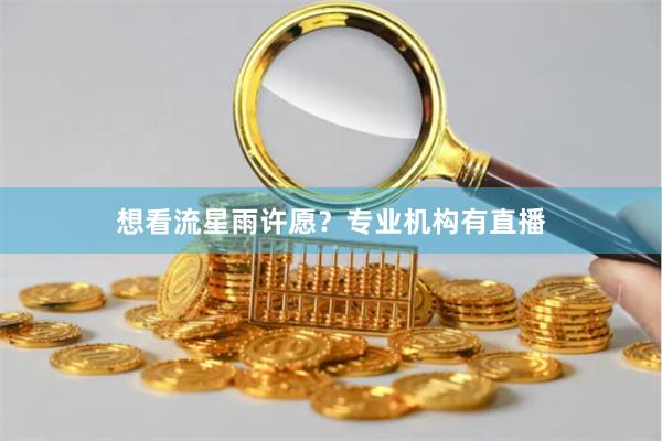 想看流星雨许愿？专业机构有直播