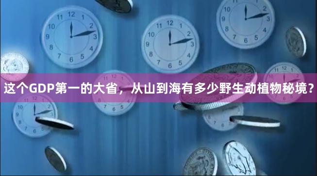 这个GDP第一的大省，从山到海有多少野生动植物秘境？